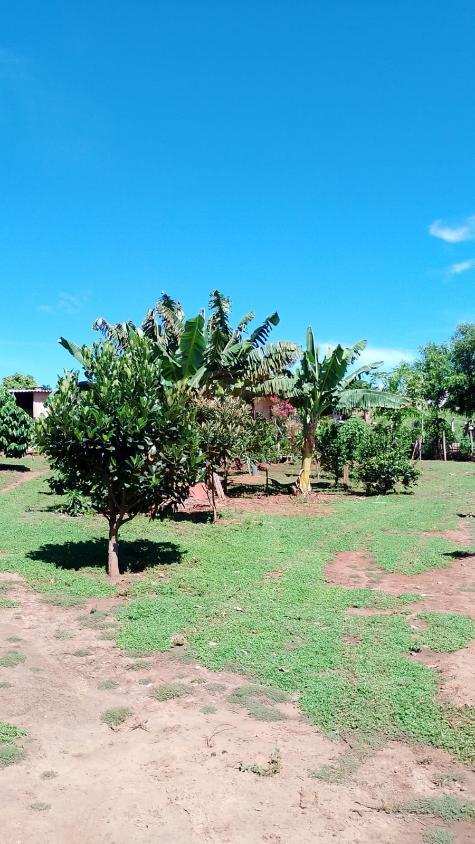 Chácara, 3 quartos, 1375 m² - Foto 11