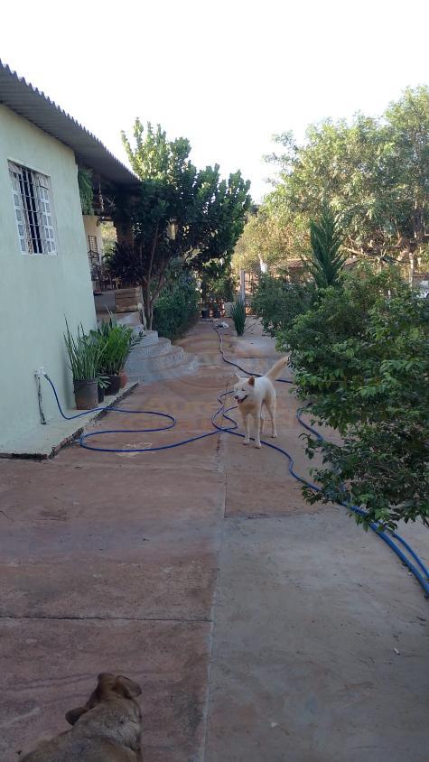 Chácara, 3 quartos, 1375 m² - Foto 49