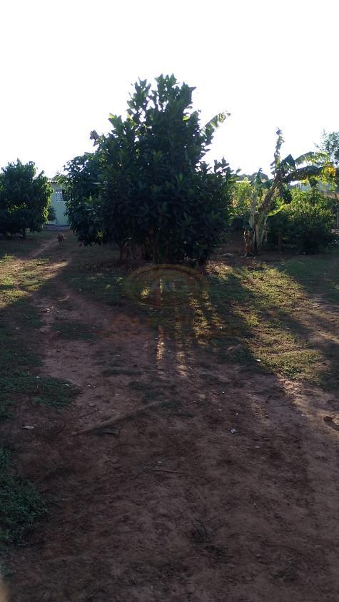 Chácara, 3 quartos, 1375 m² - Foto 45