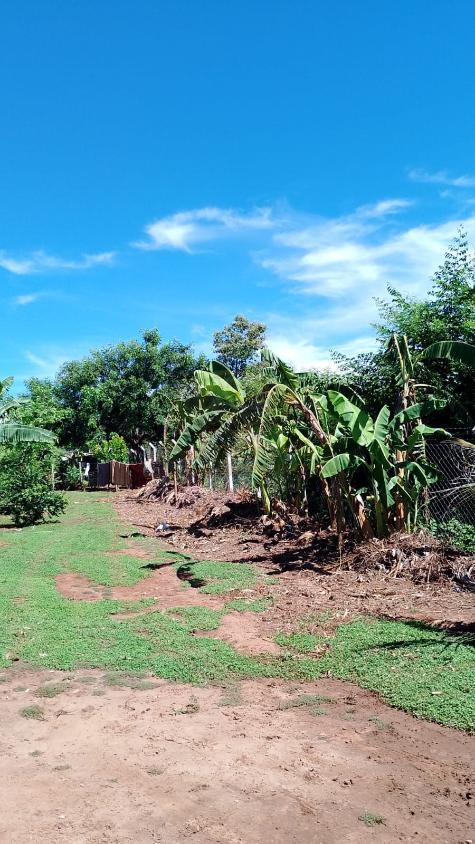 Chácara, 3 quartos, 1375 m² - Foto 15