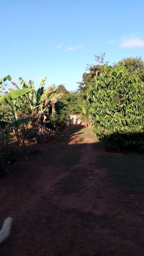 Chácara, 3 quartos, 1375 m² - Foto 24