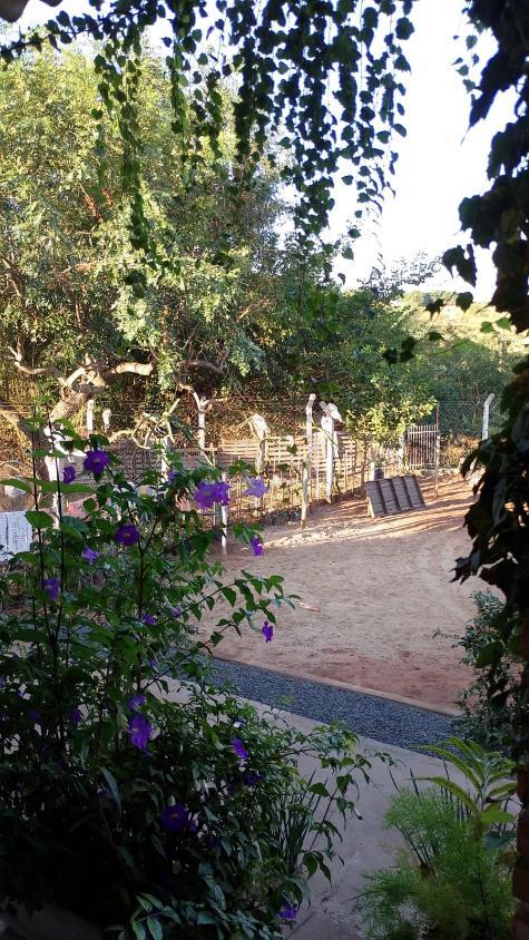 Chácara, 3 quartos, 1375 m² - Foto 47