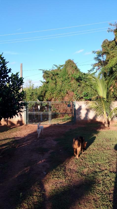 Chácara, 3 quartos, 1375 m² - Foto 27