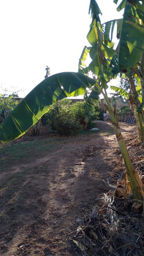 Chácara, 3 quartos, 1375 m² - Foto 22