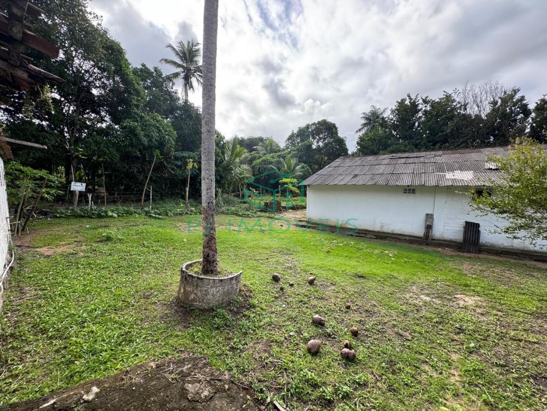 Chácara, 7 quartos, 2 hectares - Foto 16