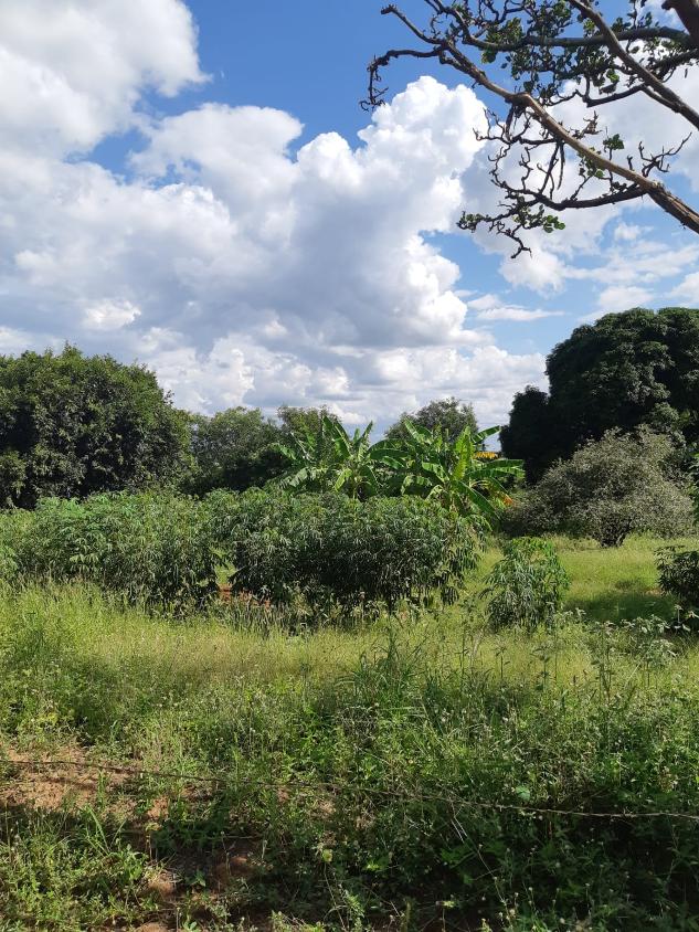 Chácara à venda com 2 quartos, 10700m² - Foto 29