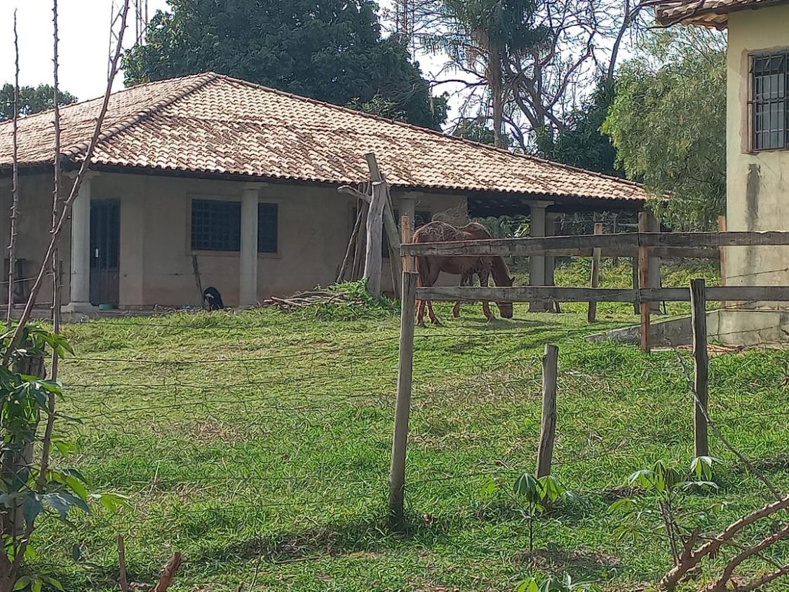Chácara à venda com 2 quartos, 24200m² - Foto 4