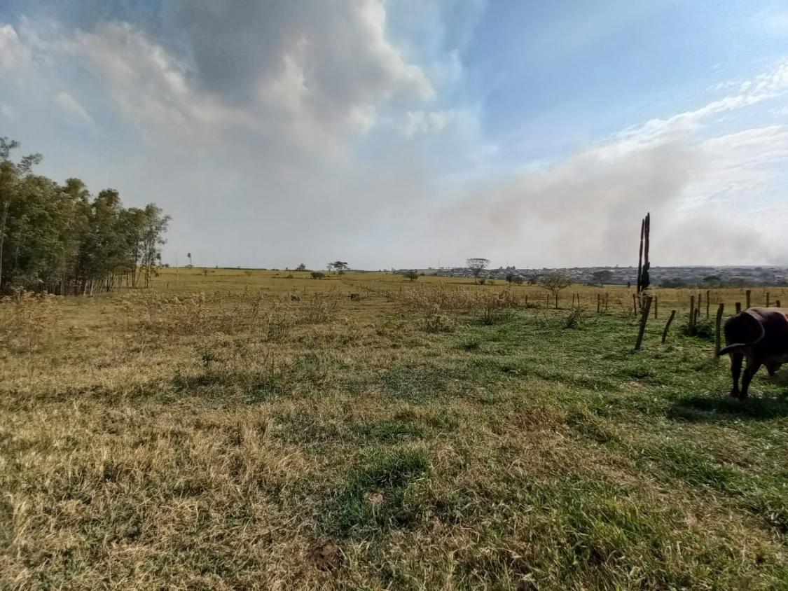 Chácara à venda com 2 quartos, 24200m² - Foto 7