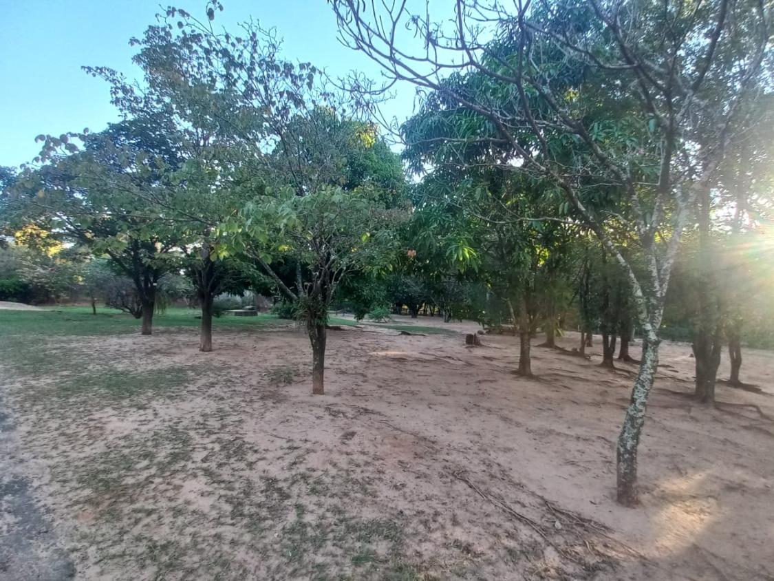 Chácara, 2 quartos, 10000 m² - Foto 2