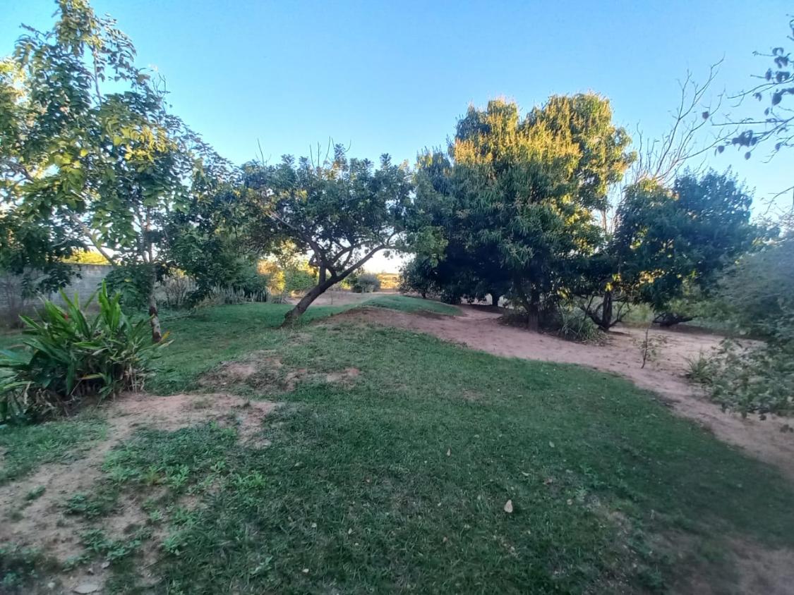 Chácara, 2 quartos, 10000 m² - Foto 8