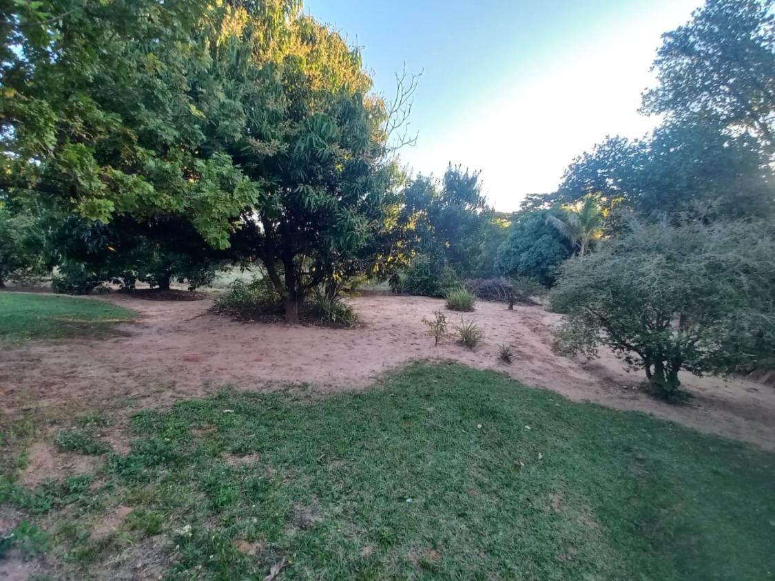 Chácara, 2 quartos, 10000 m² - Foto 9