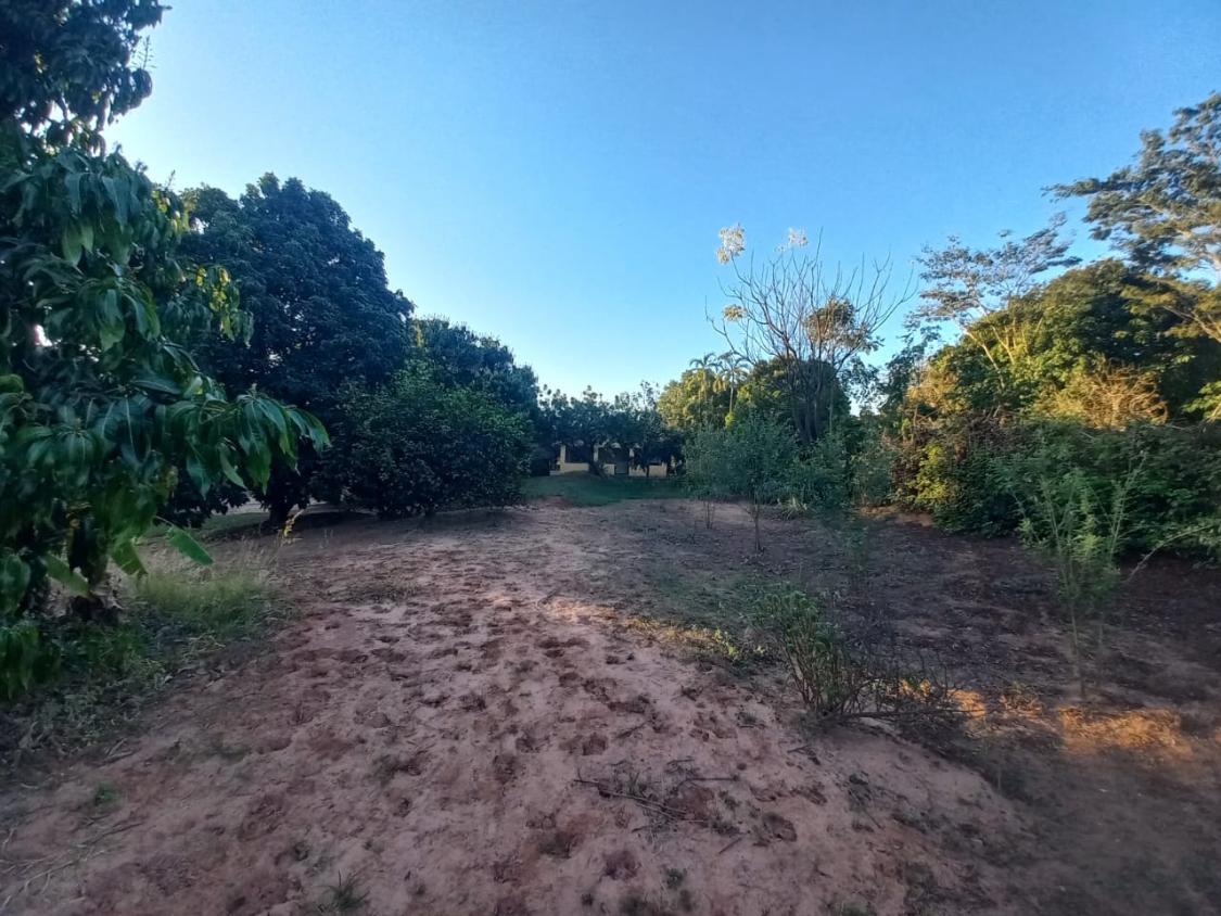 Chácara, 2 quartos, 10000 m² - Foto 14