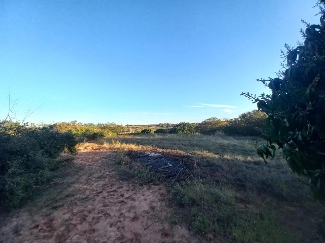 Chácara, 2 quartos, 10000 m² - Foto 10