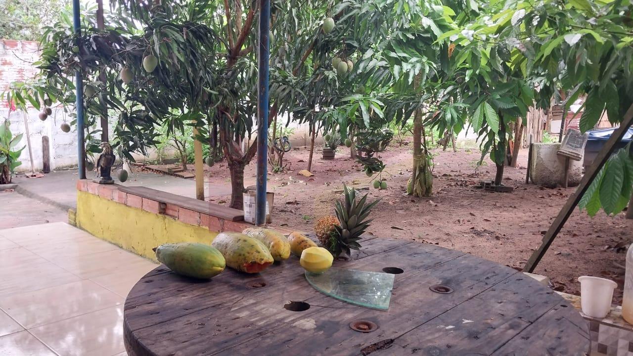 Sítio à venda com 2 quartos, 400m² - Foto 10