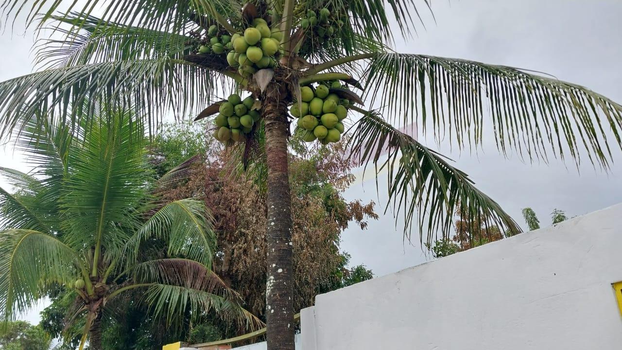 Sítio à venda com 2 quartos, 400m² - Foto 14