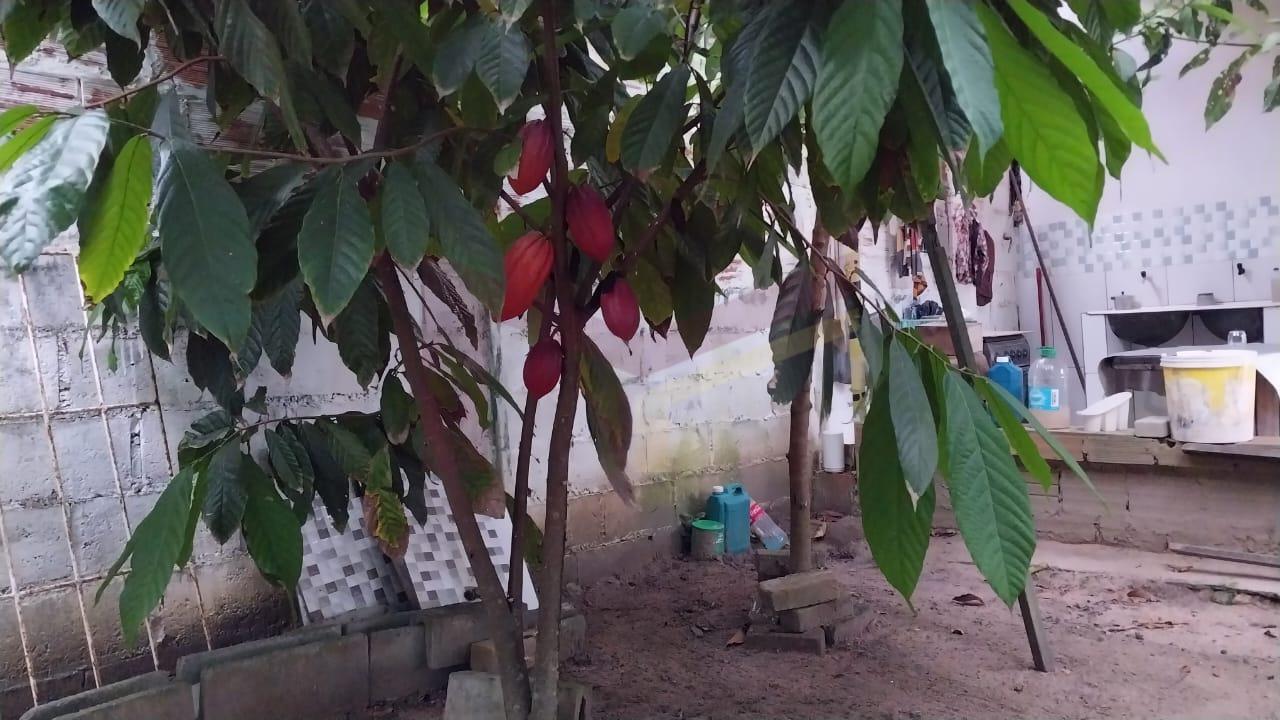 Sítio à venda com 2 quartos, 400m² - Foto 11