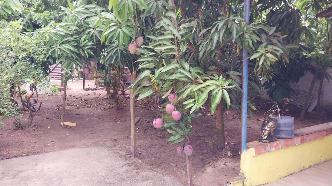 Sítio à venda com 2 quartos, 400m² - Foto 12