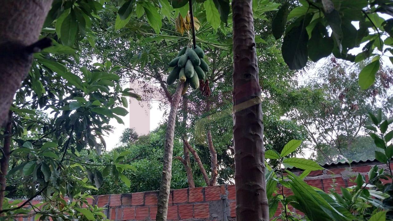 Sítio à venda com 2 quartos, 400m² - Foto 9