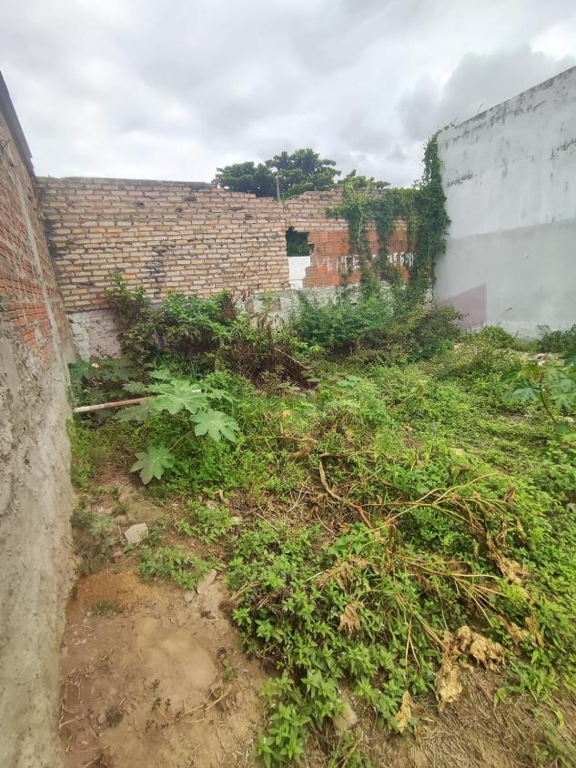 Terreno à venda, 168m² - Foto 2