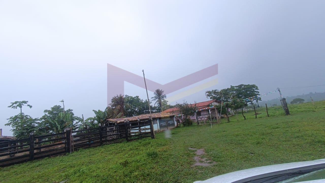 Fazenda, 64 hectares - Foto 5