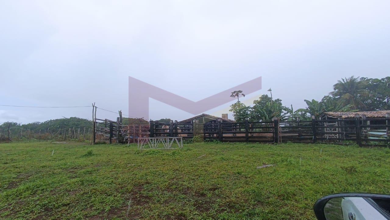 Fazenda, 64 hectares - Foto 1