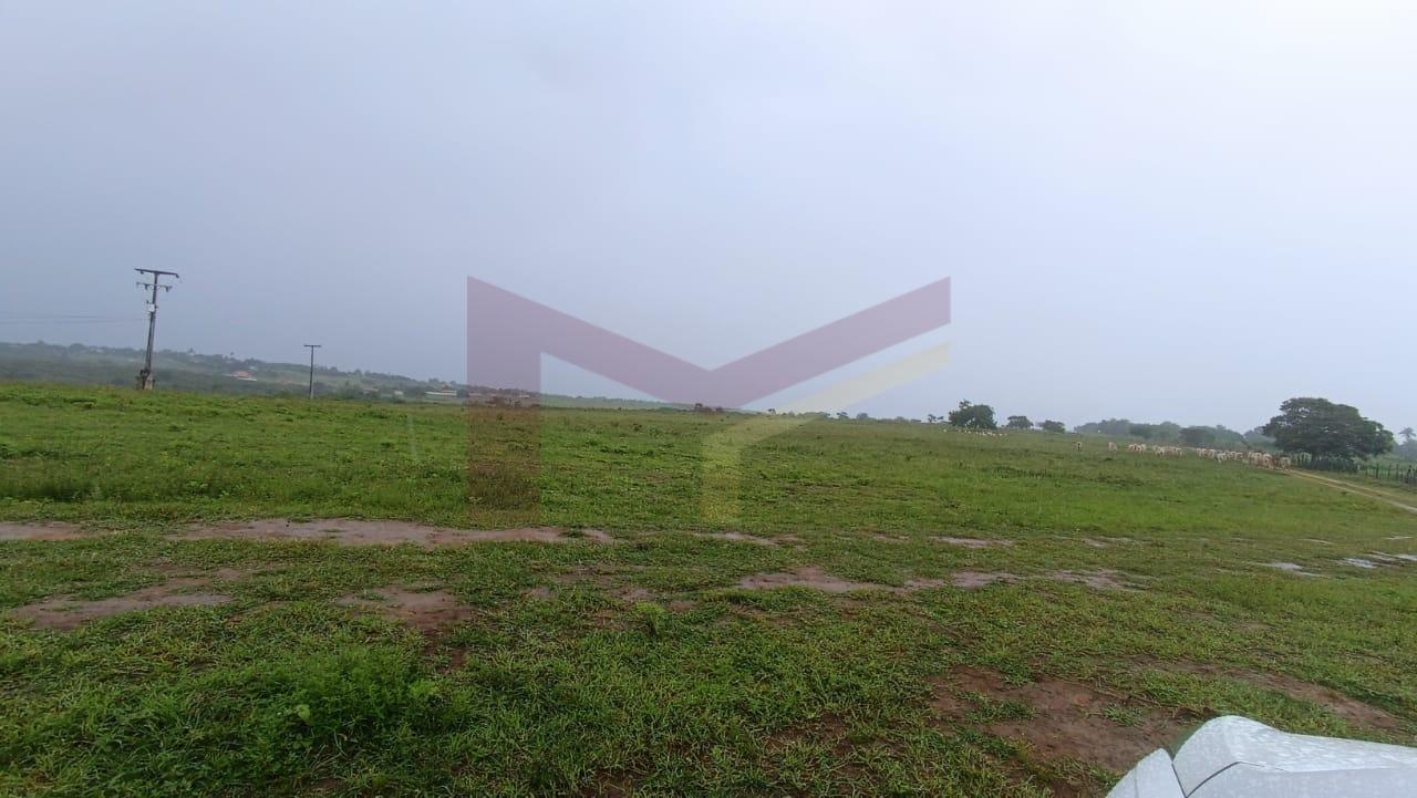 Fazenda, 64 hectares - Foto 6