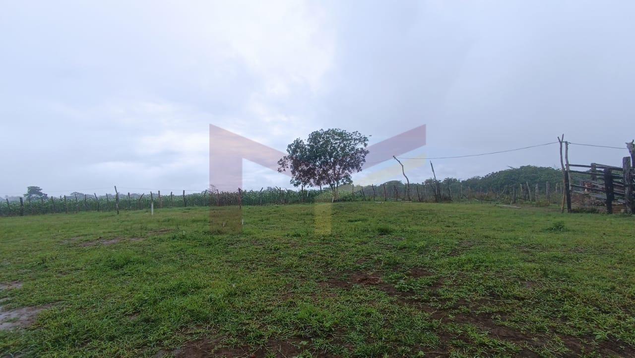 Fazenda, 64 hectares - Foto 4