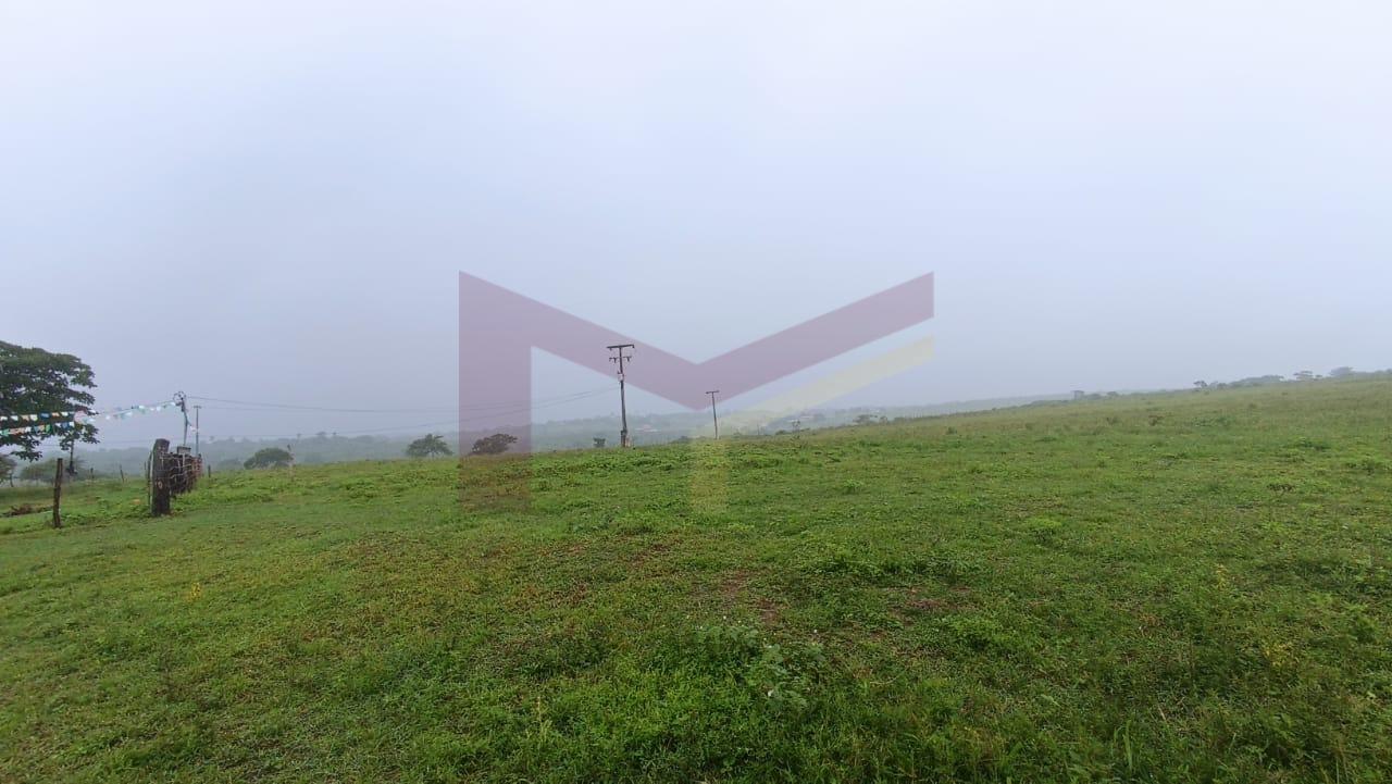 Fazenda, 64 hectares - Foto 2