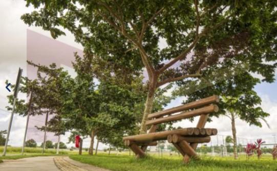 Casa de Condomínio, 3 quartos - Foto 33