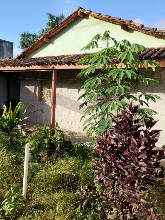 Casa, 3 quartos, 60 m² - Foto 4