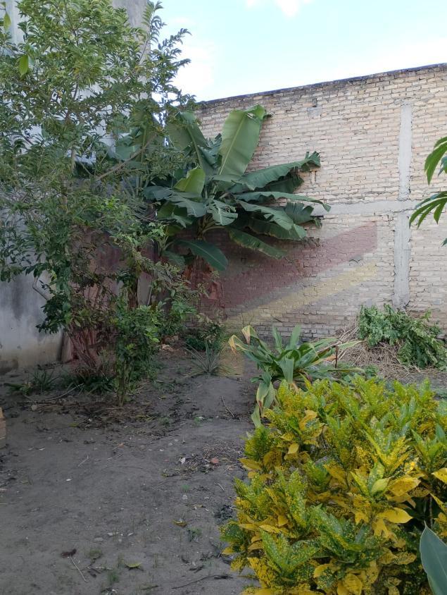 Casa, 3 quartos, 60 m² - Foto 11