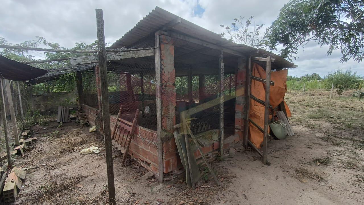 Sítio à venda com 3 quartos, 65340m² - Foto 7