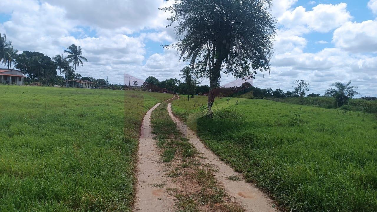 Sítio à venda com 3 quartos, 65340m² - Foto 2