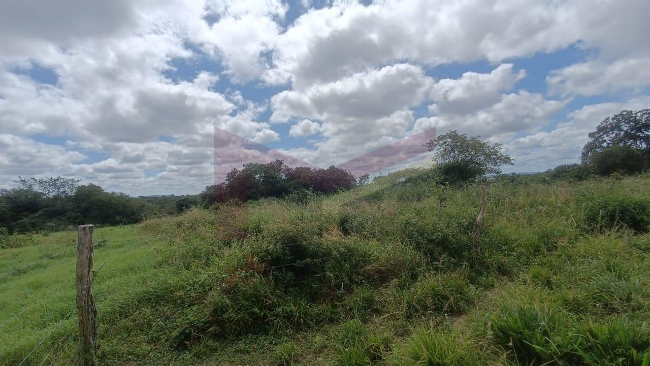 Sítio à venda com 3 quartos, 65340m² - Foto 9
