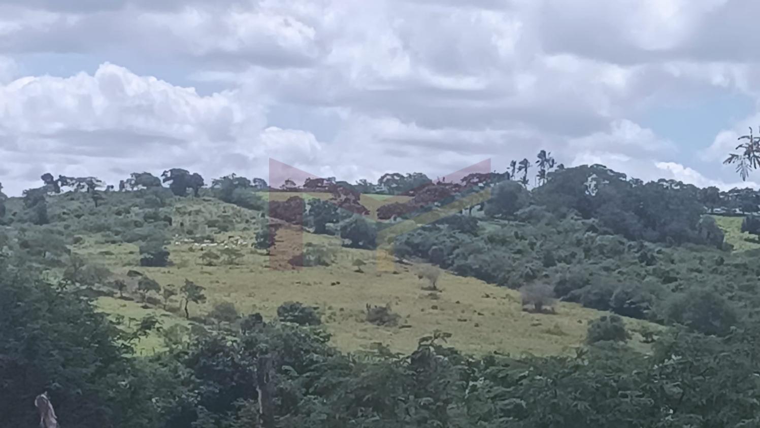 Fazenda à venda, 209m² - Foto 2