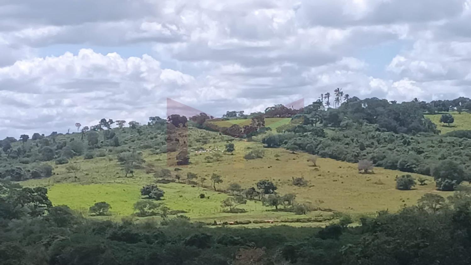 Fazenda à venda, 209m² - Foto 1