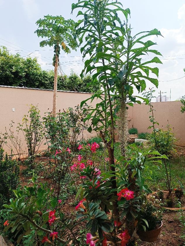 Casa, 4 quartos, 162 m² - Foto 15