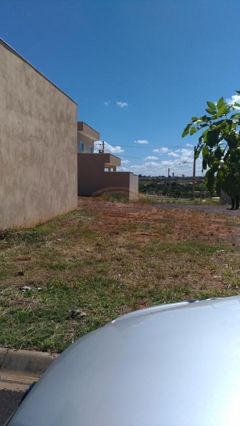 Terreno - Foto 1