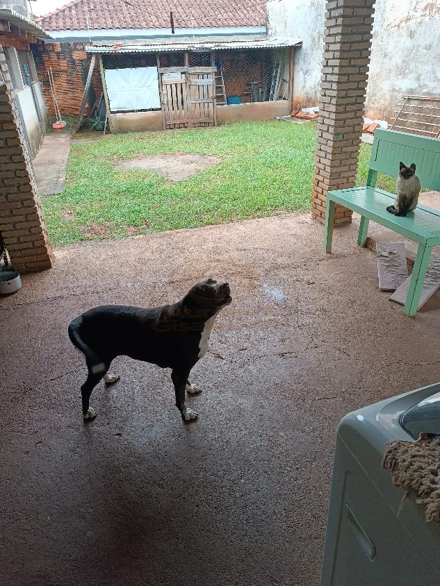 Casa, 2 quartos - Foto 11