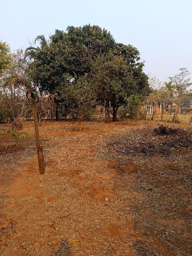 Chácara, 2 quartos, 5000 m² - Foto 8