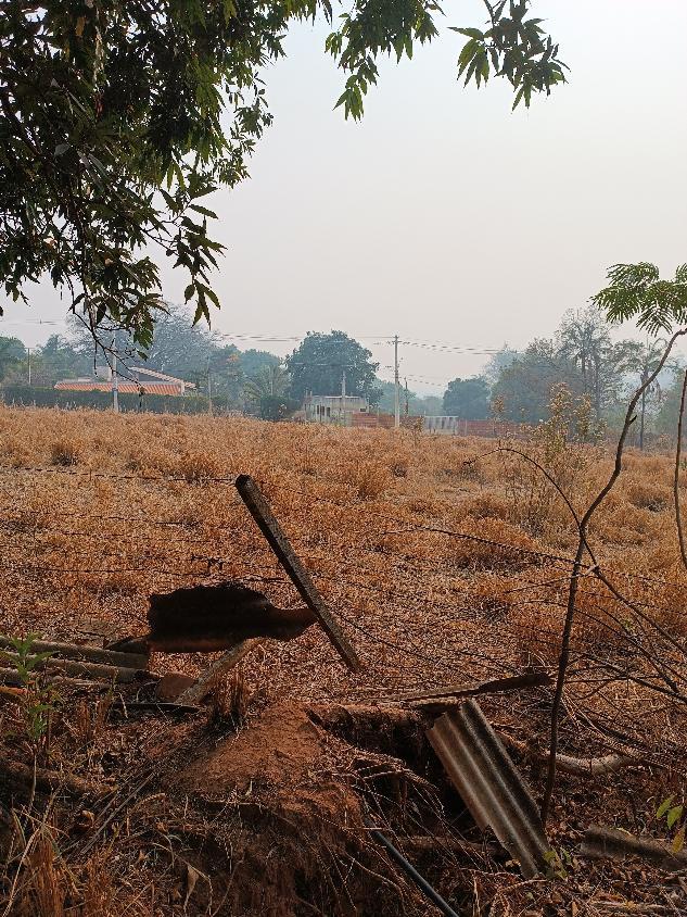 Chácara, 2 quartos, 5000 m² - Foto 11