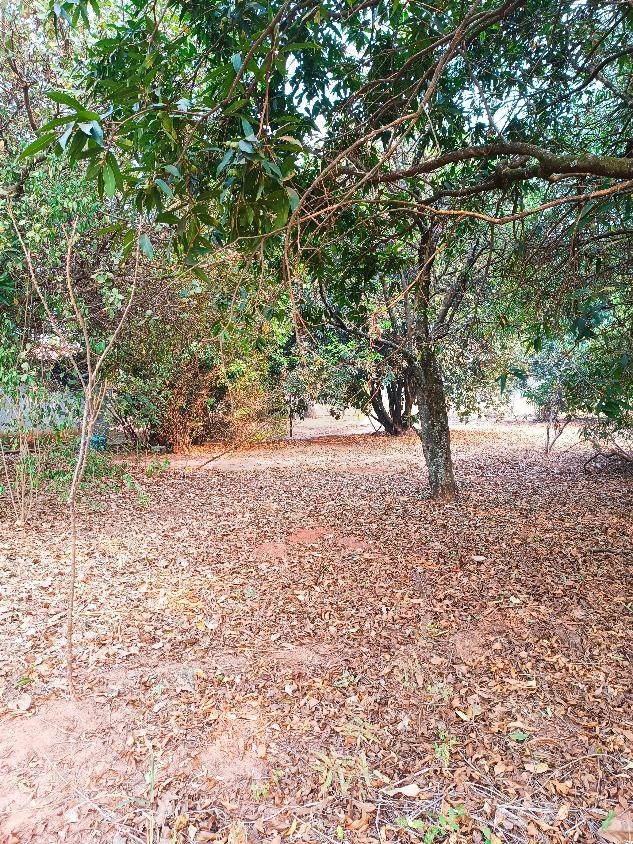 Chácara, 2 quartos, 5000 m² - Foto 10