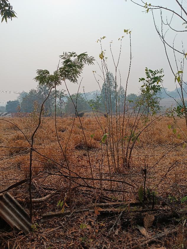 Chácara, 2 quartos, 5000 m² - Foto 4