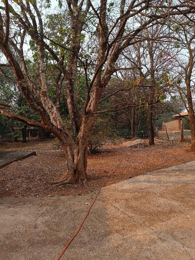 Chácara, 2 quartos, 5000 m² - Foto 7