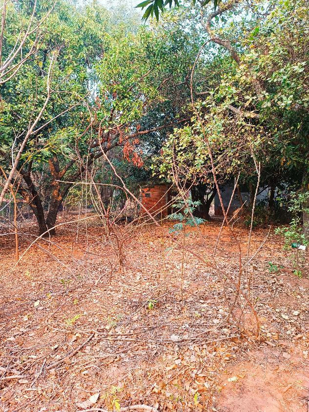 Chácara, 2 quartos, 5000 m² - Foto 12