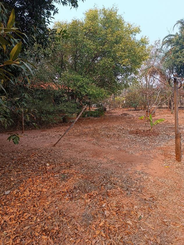 Chácara, 2 quartos, 5000 m² - Foto 9