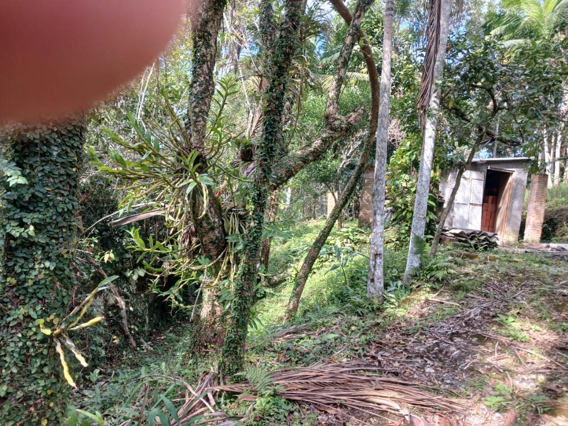 Chácara à venda com 2 quartos, 1500m² - Foto 11