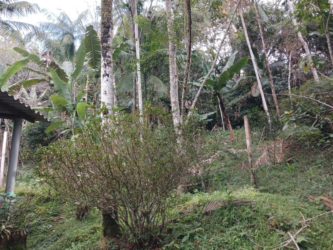 Chácara à venda com 2 quartos, 1500m² - Foto 16