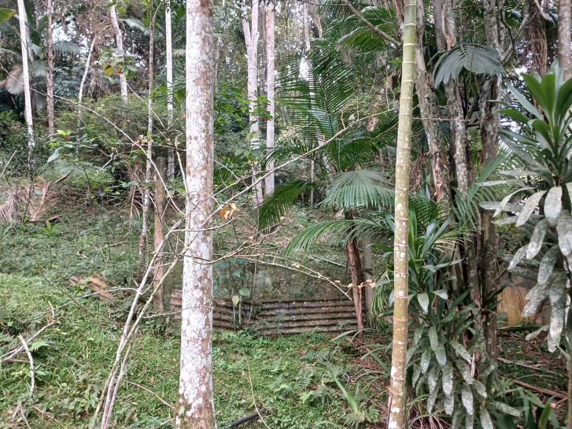 Chácara à venda com 2 quartos, 1500m² - Foto 17