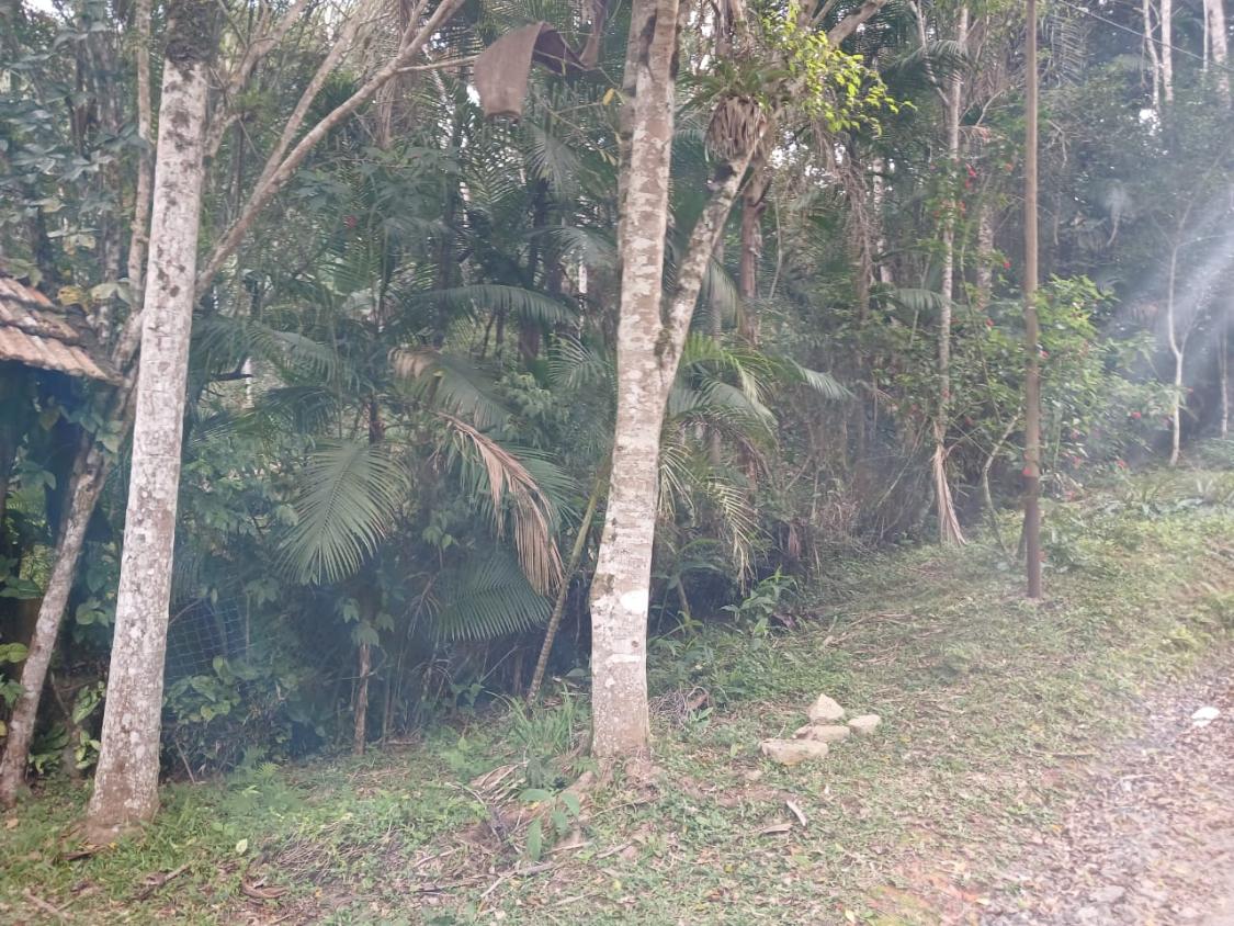 Chácara à venda com 2 quartos, 1500m² - Foto 18